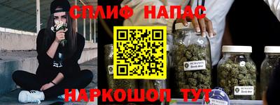 стаф Будённовск