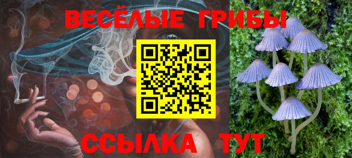 Псилоцибиновые грибы Psilocybe  Псилоцибиновые грибы мухоморы  Вход с VPN  Краснокаменск 